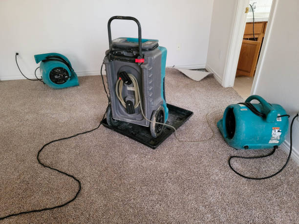 Best Water damage restoration services  in Hidden Meadows, CA