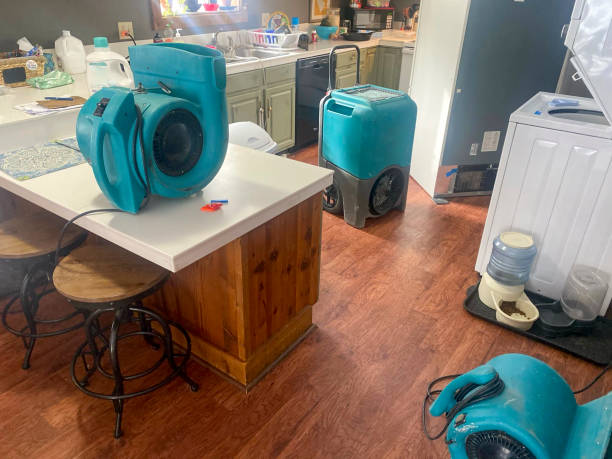 Reliable Hidden Meadows, CA Water damage restoration Solutions