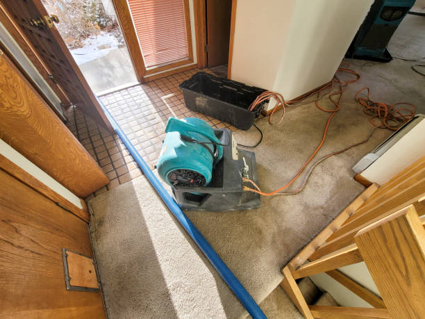 Trusted Hidden Meadows, CA Water damage restoration Experts
