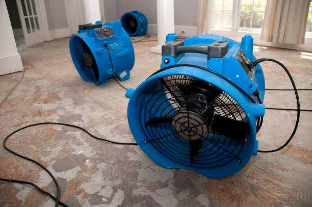 Sewage cleanup and water damage restoration in Hidden Meadows, CA