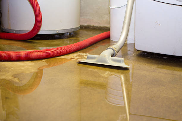 Best Professional water damage repair  in Hidden Meadows, CA
