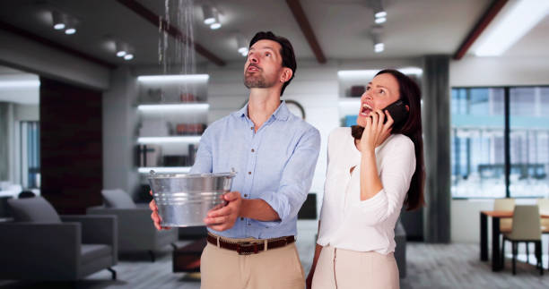 Best Water damage contractors near me  in Hidden Meadows, CA