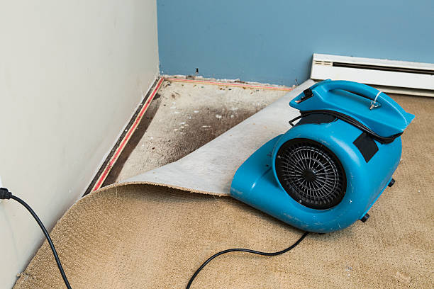 Best Water damage cleanup near me  in Hidden Meadows, CA